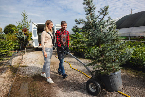 Trusted Village Shires, PA Tree Service Experts